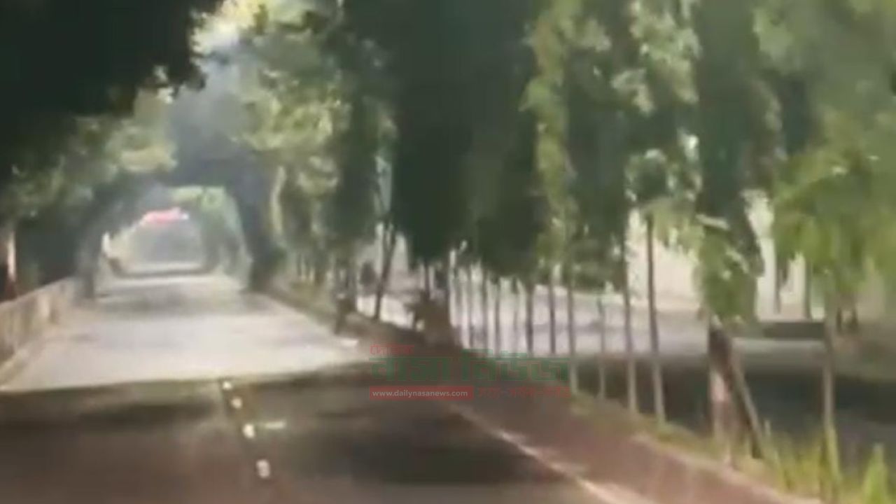 কবিতার নামঃ ঢাকায় অ্যারিভাল