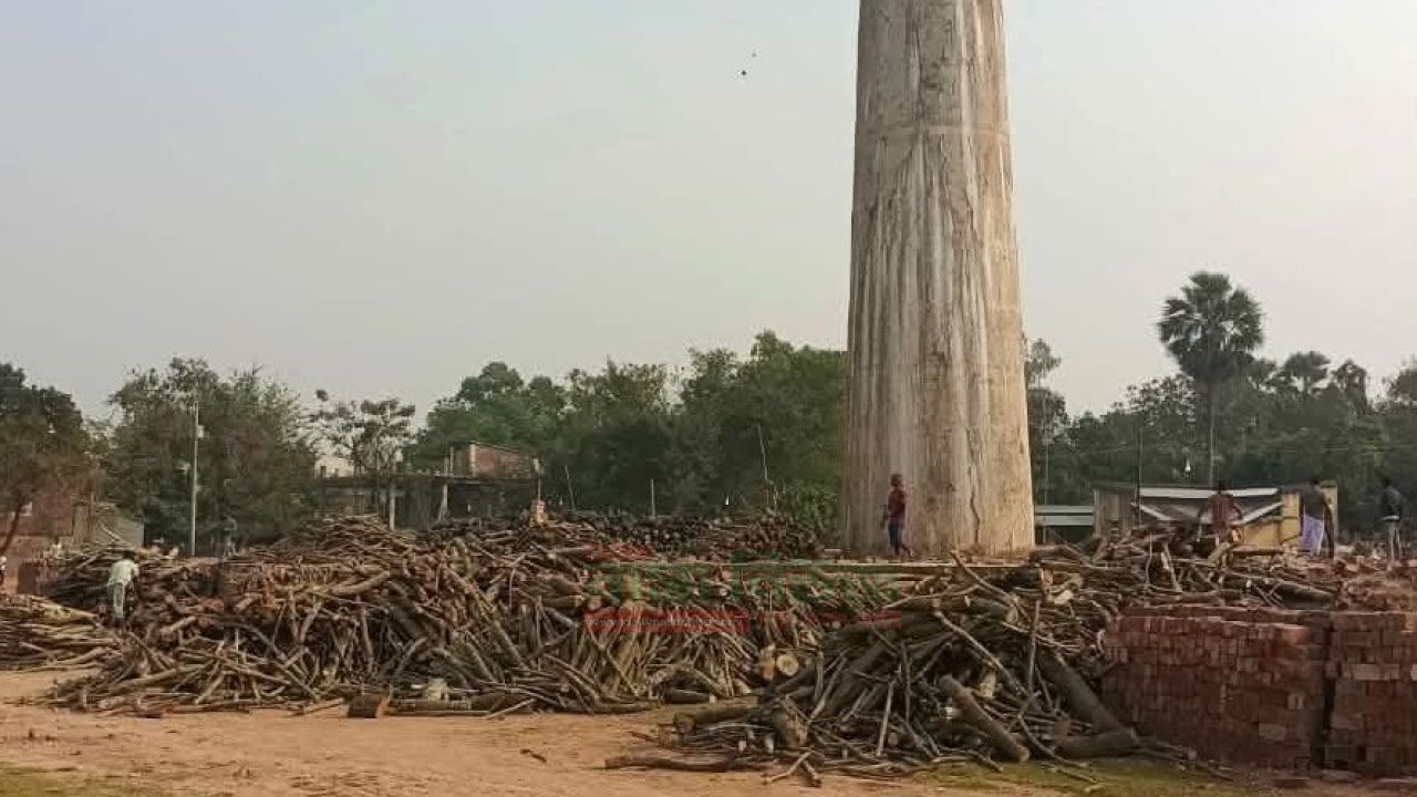 নওগাঁয় অবৈধ ইট ভাটাগুলোতে অনায়াসে পোড়ানো হচ্ছে খড়ি,দিন দিন গিলে খাচ্ছে শত শত হেক্টর ফসলি জমি